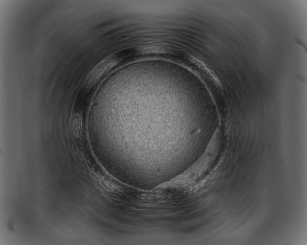 X0000096730825200802121313