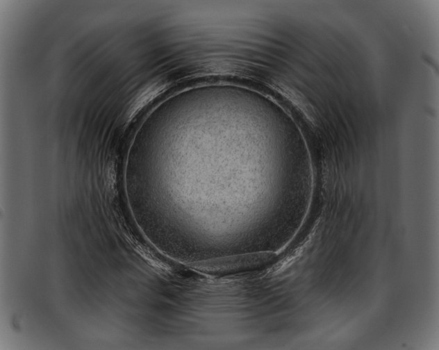 X0000096730826200802121313