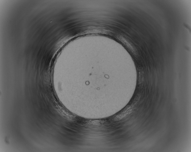 X0000096730828200802121313