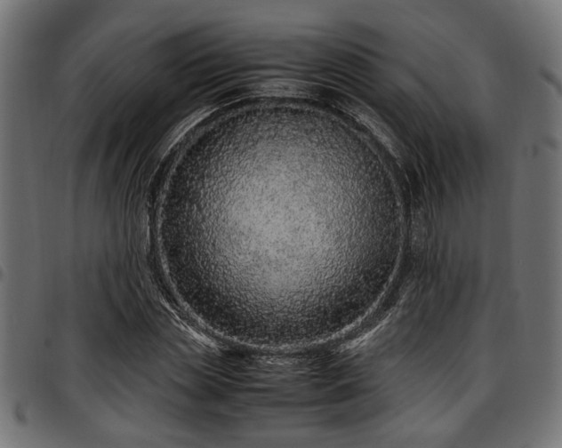 X0000096730829200802121313