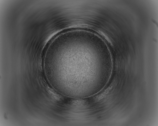 X0000096730830200802121313