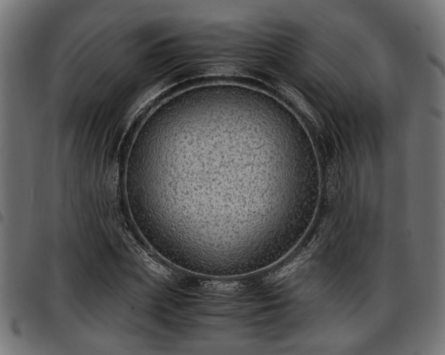 X0000096730831200802121313
