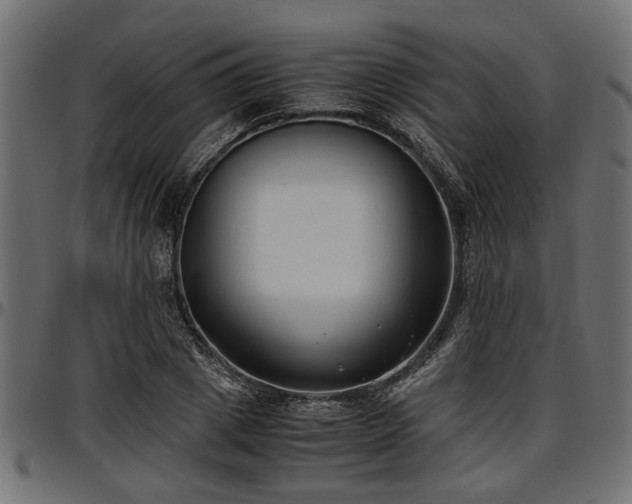 X0000096730833200802121313
