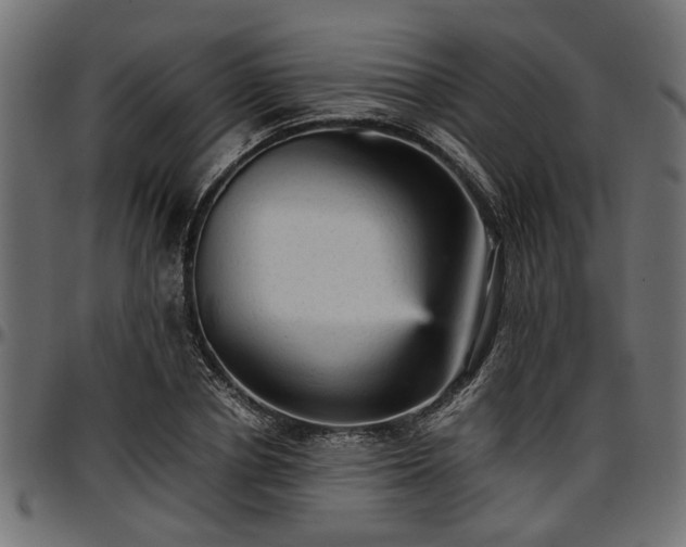 X0000096730834200802121313