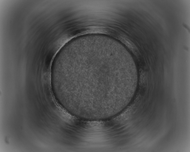 X0000096730836200802121313