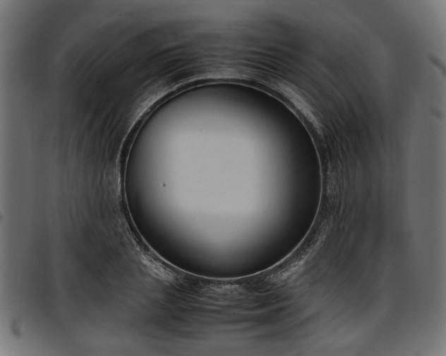 X0000096730837200802121313