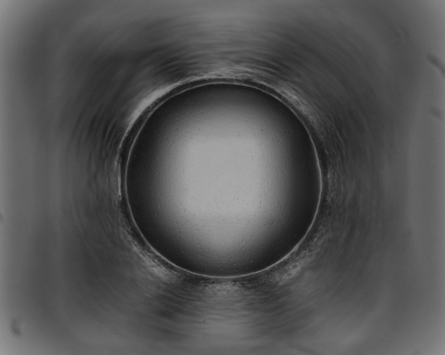 X0000096730838200802121313