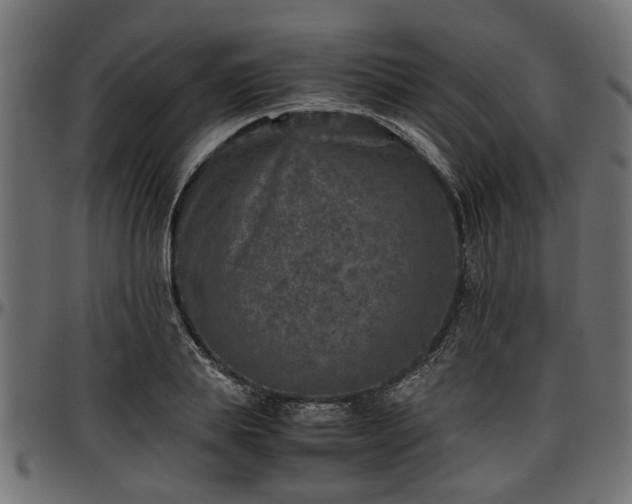 X0000096730839200802121313