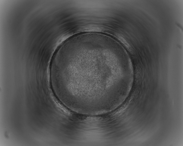 X0000096730840200802121313