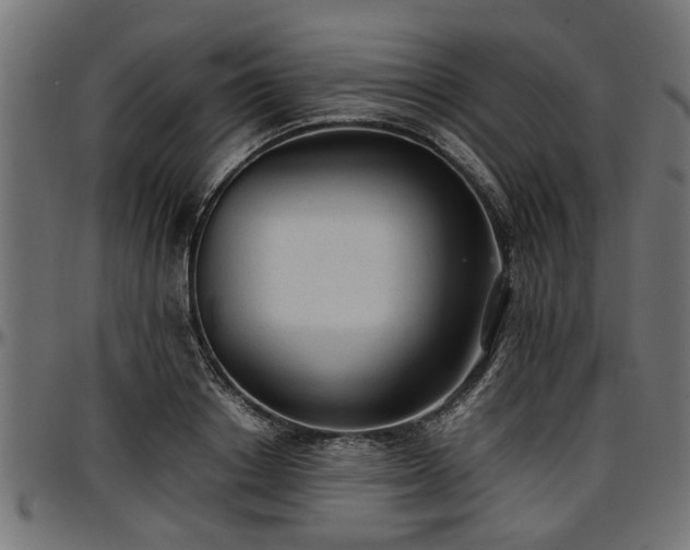 X0000096730842200802121313