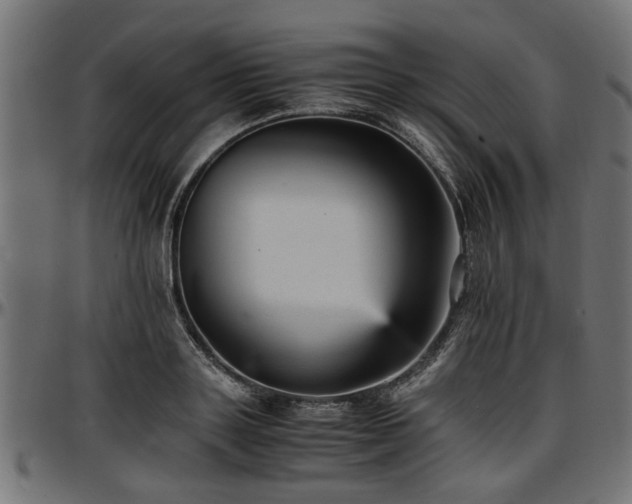 X0000096730843200802121313
