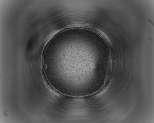 X0000096730844200802121313