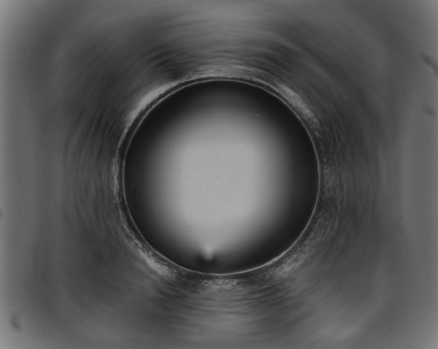 X0000096730846200802121313