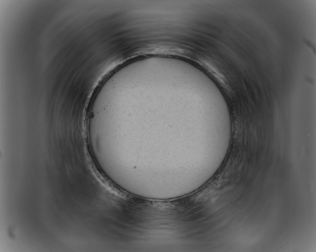 X0000096730848200802121313