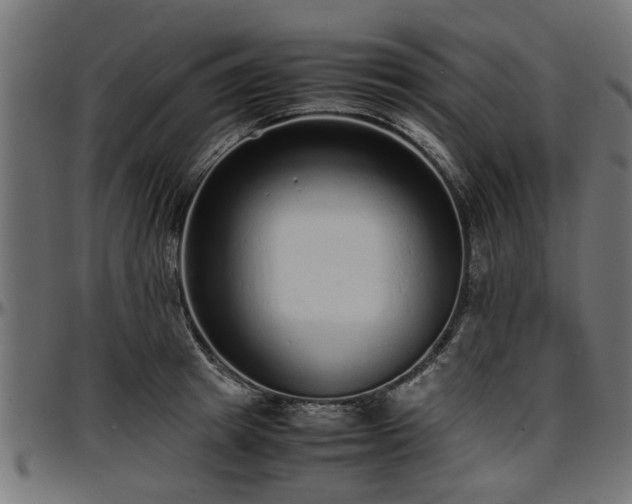 X0000096730849200802121313