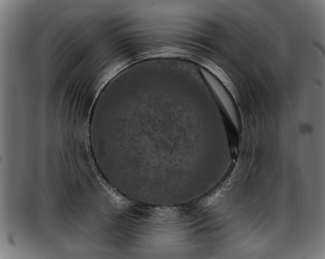 X0000096730850200802121313