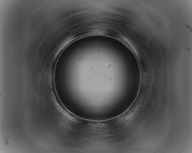 X0000096730851200802121313
