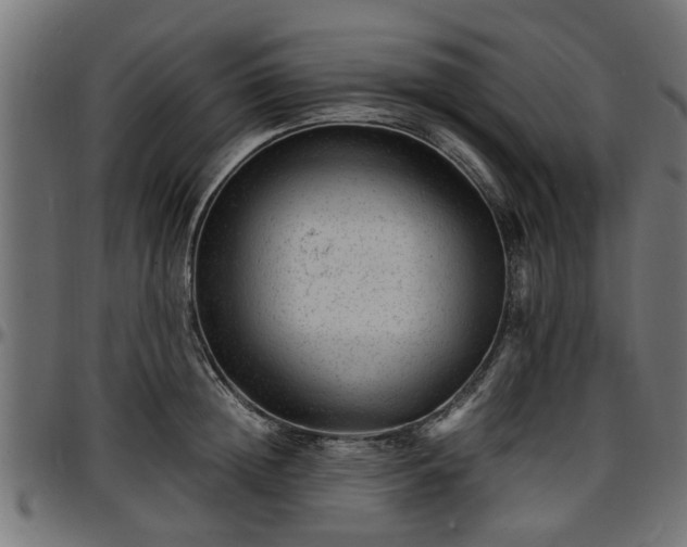 X0000096730852200802121313