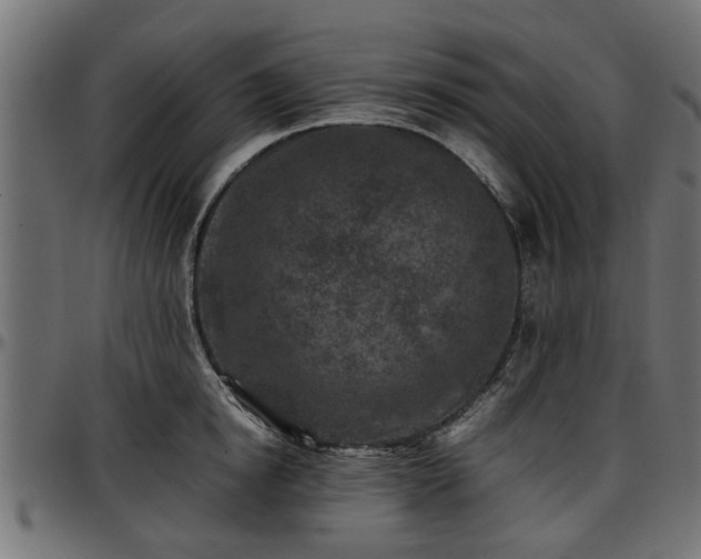 X0000096730854200802121313