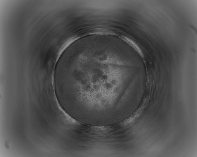 X0000096730855200802121313