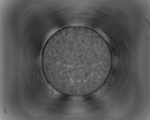 X0000096730856200802121313