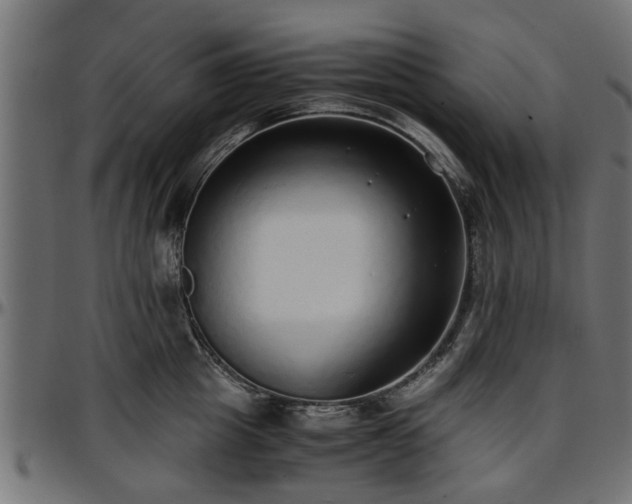 X0000096730857200802121313