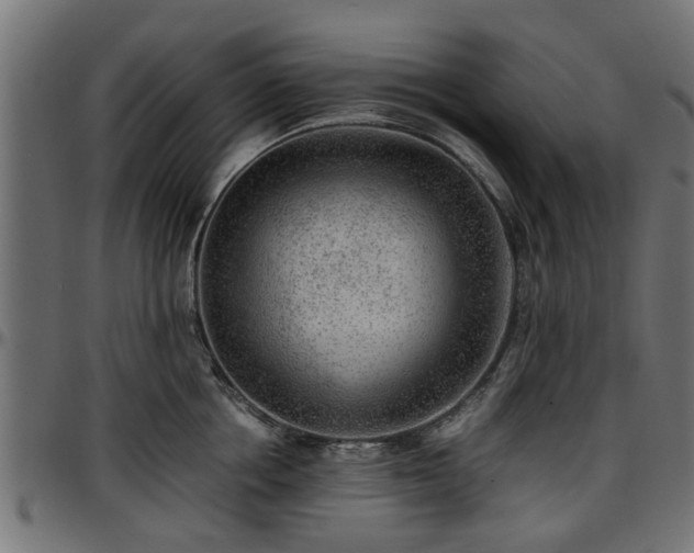 X0000096730858200802121313