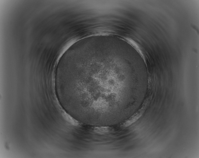 X0000096730859200802121313