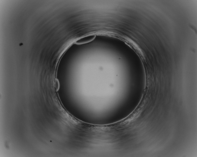 X0000096730860200802121313