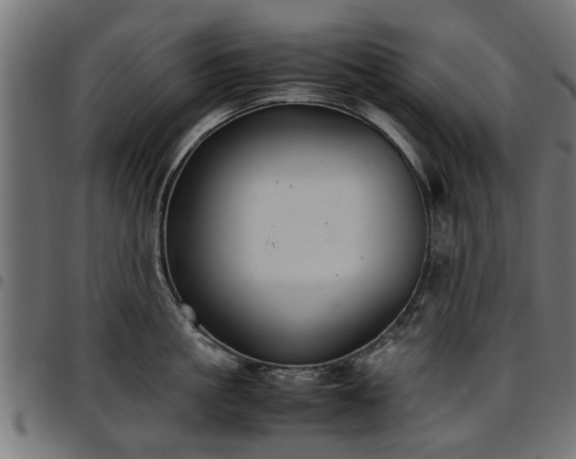 X0000096730861200802121313