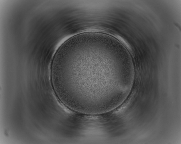 X0000096730862200802121313