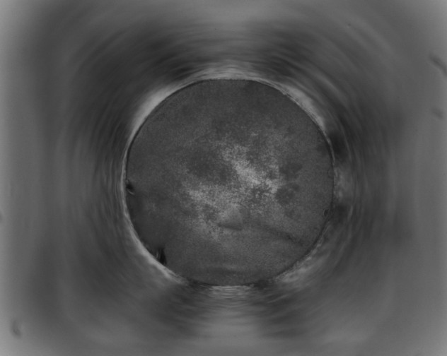 X0000096730863200802121313