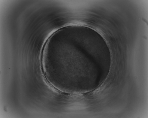 X0000096730864200802121313