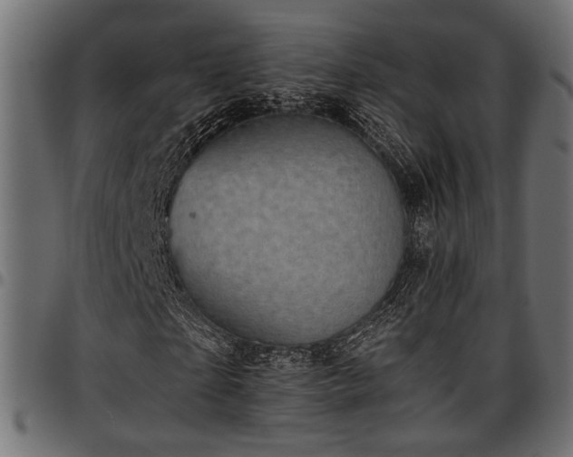 X0000096730865200802121312