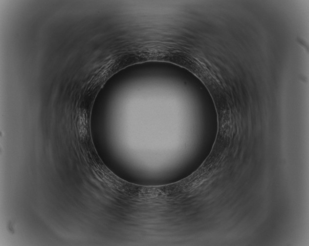 X0000096730866200802121312