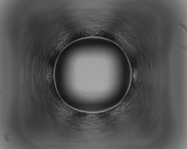 X0000096730867200802121312
