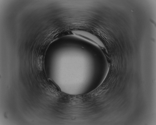 X0000096730868200802121312