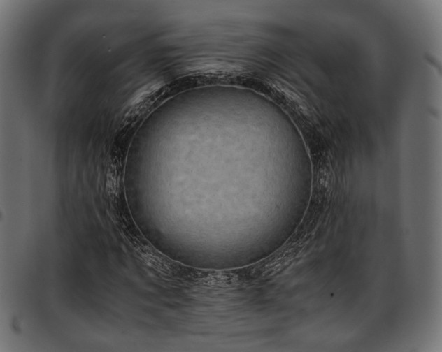 X0000096730869200802121312