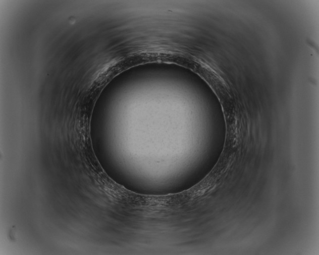 X0000096730870200802121312