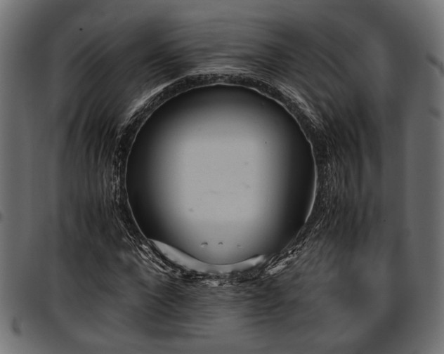 X0000096730872200802121312