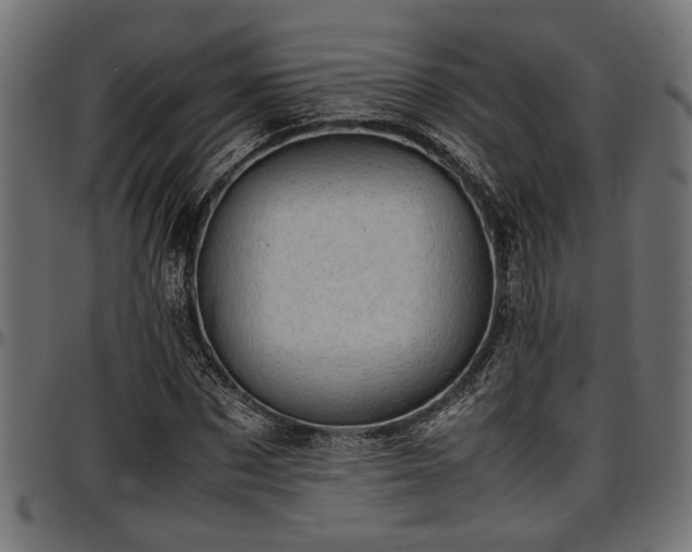 X0000096730873200802121312