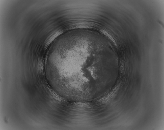 X0000096730874200802121312