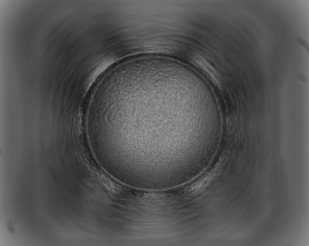 X0000096730875200802121312