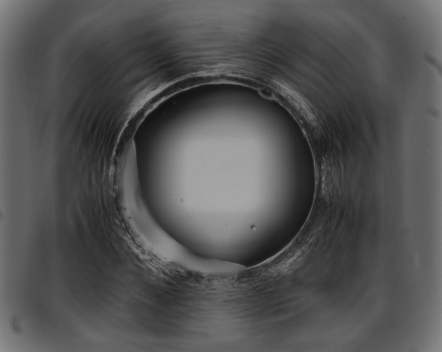 X0000096730876200802121312