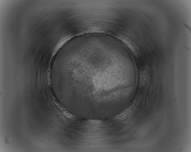 X0000096730878200802121312