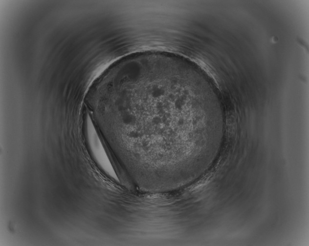 X0000096730879200802121312