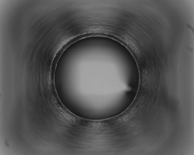 X0000096730880200802121312