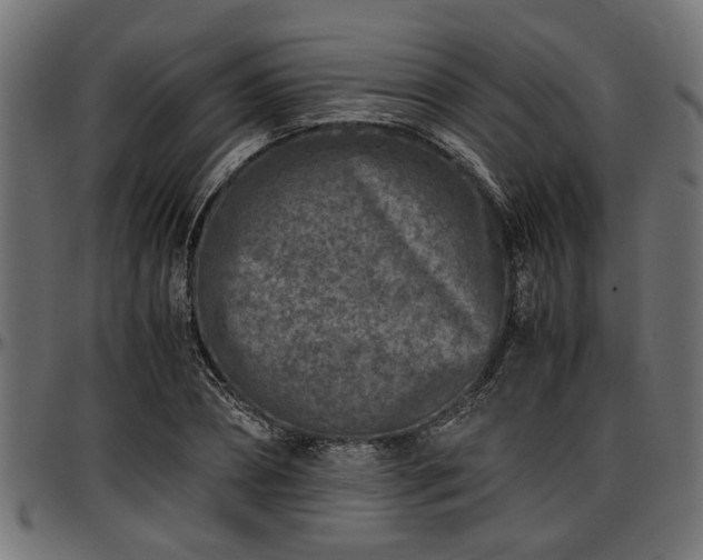 X0000096730882200802121312