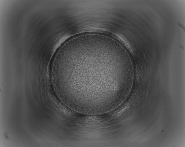 X0000096730883200802121312