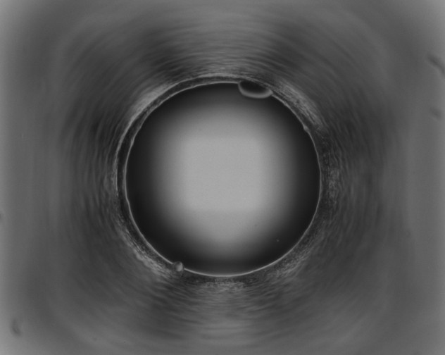 X0000096730884200802121312